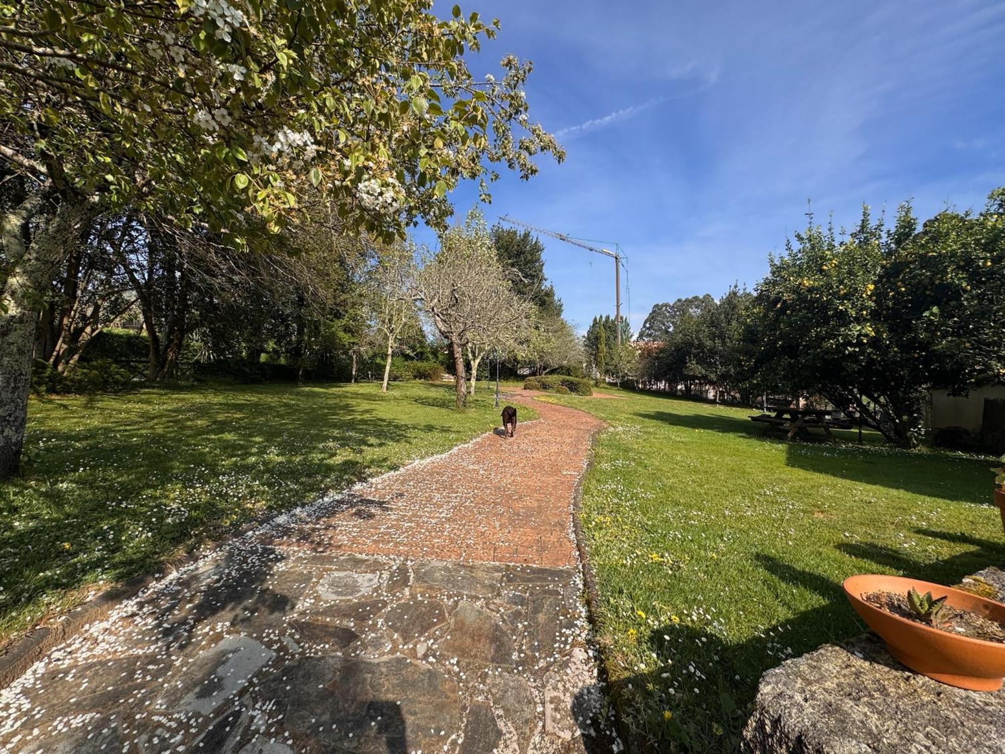 Casa Rural A Cobacha Paderne Buitenkant foto